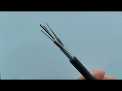 GYTS-48C singlemode fiber cable