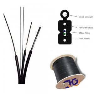 G652D G657A LSZH FTTH Fiber Optic Drop Cable 1 2 4 Core