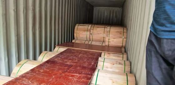 Εξωτερικό αεροσκάφος GYTC8Y G652D μεμονωμένου τρόπου Σχήμα 8 Αυτο-εξυπηρετούμενο 4 6 8 10 12 24 48 96 144 Κεντρικό καλώδιο οπτικών ινών