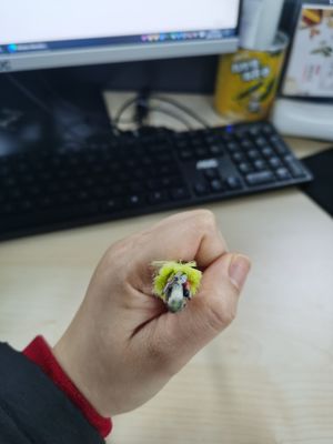 Μη μεταλλικός ενιαίος πυρήνας 100/200m έκταση G652D καλωδίων 6/12/24/48/96 οπτικών ινών σακακιών ADSS